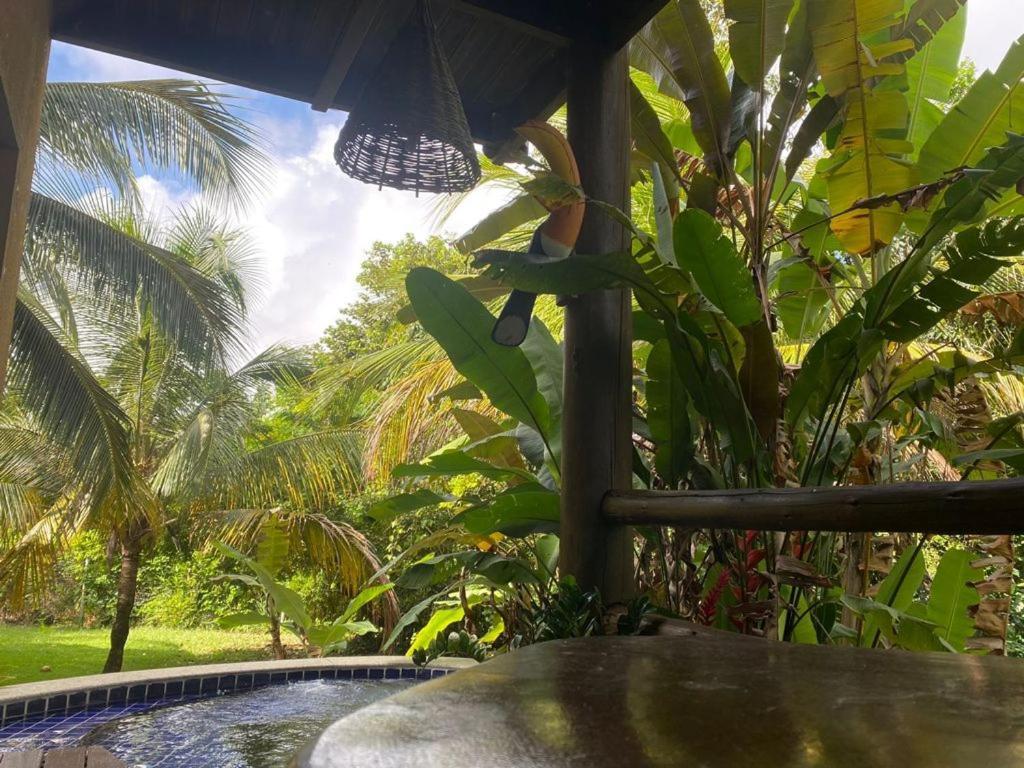 Prime Villas Do Pratagy Maceió エクステリア 写真